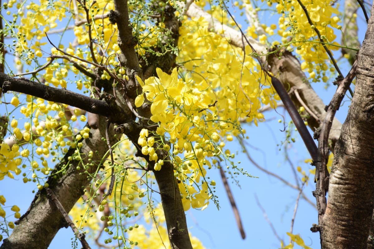 Roubo de Celular na Mooca SP — A Avenida Que Concentra 14% Dos Casos em 2025